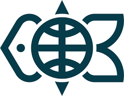 Купить диплом Дальрыбвтуза